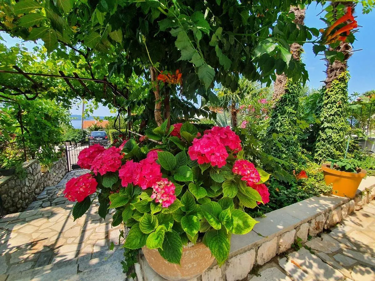 Apartment Rak Dramalj