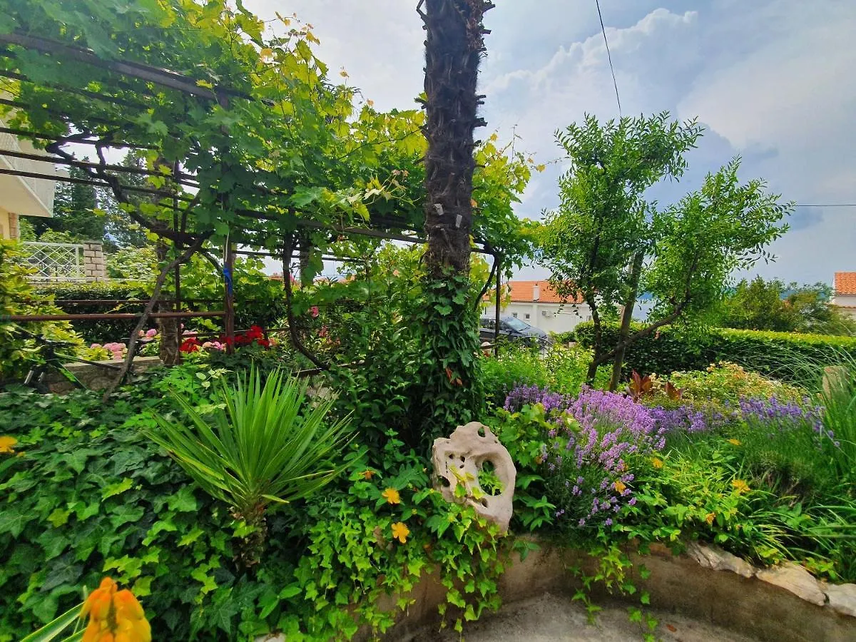 Apartment Rak Dramalj Croatia
